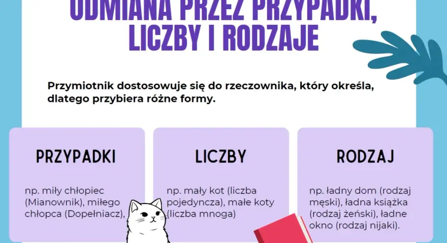 Grafika wyjaśnia odmianę przymiotnika przez przypadki, liczby i rodzaje. Pokazuje, jak przymiotnik dopasowuje się do rzeczownika, przybierając różne formy.