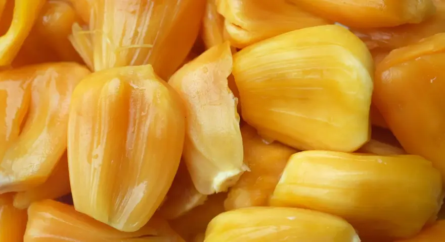 Żółte, soczyste segmenty owocu jackfruit, który to? Wyglądają apetycznie!