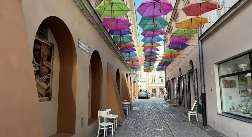 Kolorowe parasole nad uliczką w Tarnowie. Idealne na weekendowe atrakcje i spacer.