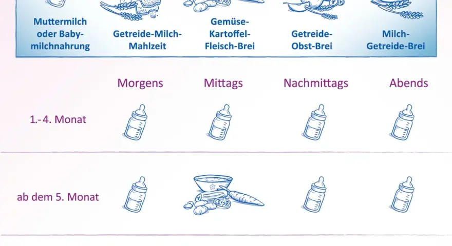 Ernährungsplan für Babys: Muttermilch, Brei (Gemüse, Obst) und Milch-Getreide-Brei für verschiedene Monate und Tageszeiten.