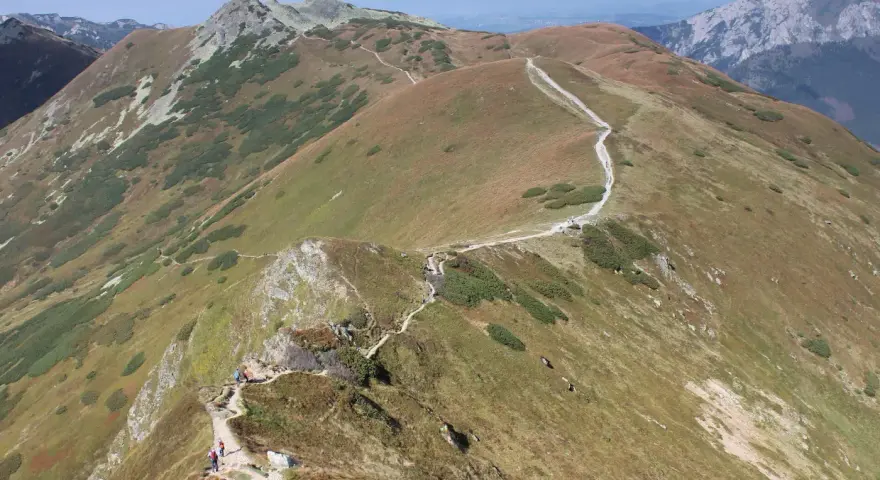 Szlak turystyczny wije się po zboczach Starorobociańskiego Wierchu, otoczony trawami i kosodrzewiną.