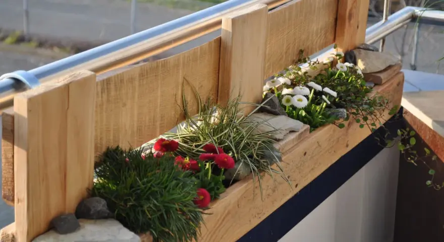 Balconi fioriti moderni con vasi in legno grezzo, margherite bianche e rosse, erba ornamentale e pietre.
