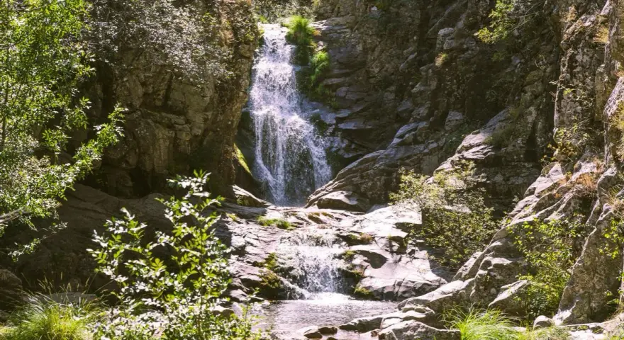 Cascada en un bosque frondoso, un ejemplo de los impresionantes espacios naturales de España.