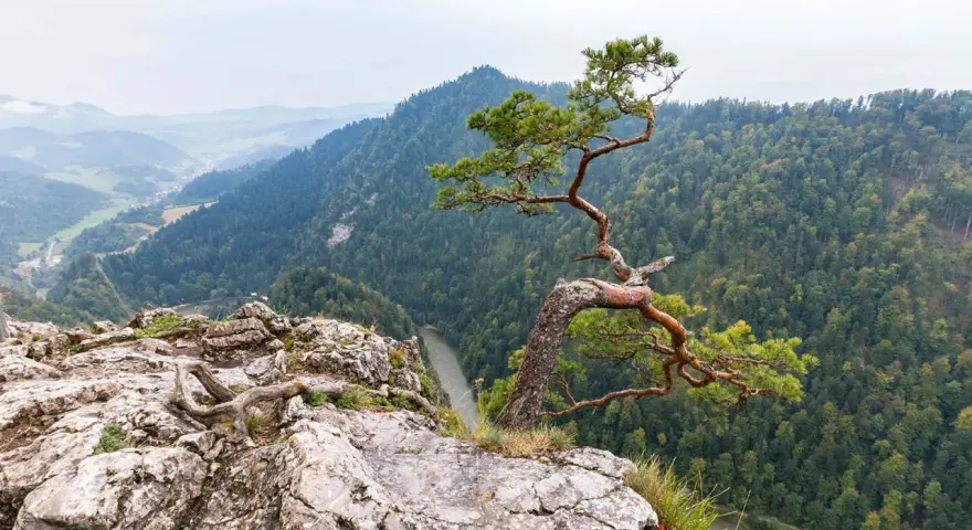 Szczawnica: Jakie góry ją otaczają? Pieniny czy Beskid Sądecki?