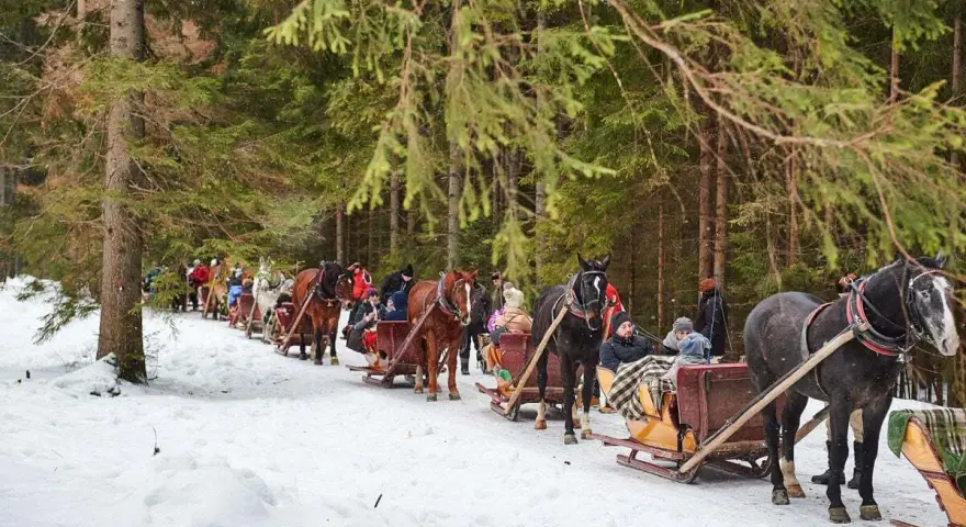 Kuligi Bukowina Tatrzańska - Przeżyj niezapomniane chwile w Tatrach