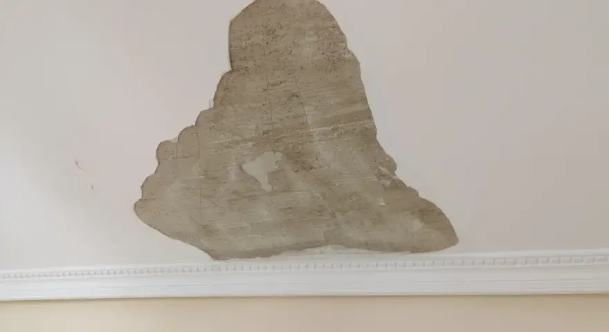 Techo con yeso muerto desprendiéndose, revelando el material subyacente. La moldura blanca decora la unión del techo y la pared.