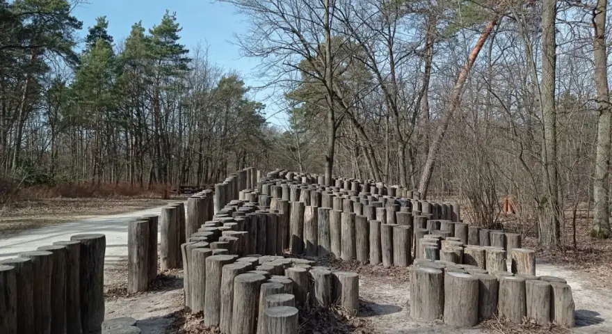 Drewniana instalacja artystyczna w lesie nad rzeką Świdrem. Kręte ścieżki z pni drzew tworzą labirynt.