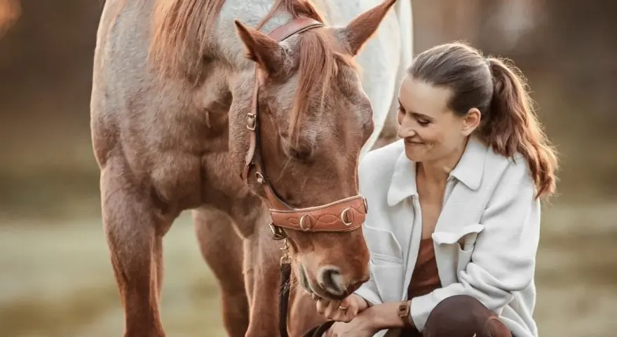 Ein Pferd zeigt, wie es einen mag, indem es seinen Kopf sanft zur Frau neigt und sie mit liebevollen Augen ansieht.