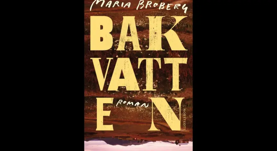 Maria Brobergs bok "Bakvatten" är en roman med en suggestiv bild av ett landskap.