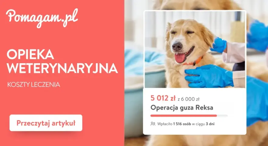 Pomagam.pl: Opieka weterynaryjna i koszty leczenia. Dowiedz się, ile kosztuje behawiorysta dla psa i jak pomóc.