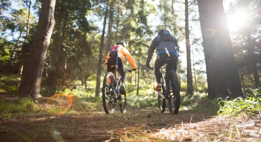 Dwie osoby na rowerach górskich przemierzają leśne trasy rowerowe Nowego Sącza. Słońce przebija się przez drzewa.