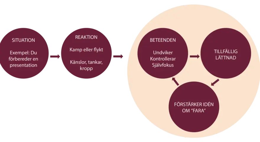 Diagram showing situation, reaction, and behaviors leading to temporary relief and reinforcing fear.