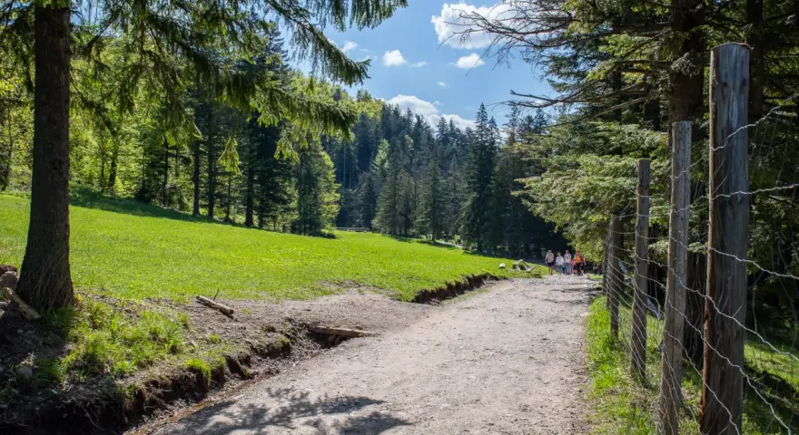 Bacówka na Polanie Biały Potok: Skosztuj Tatr! Sery, dojazd, porady