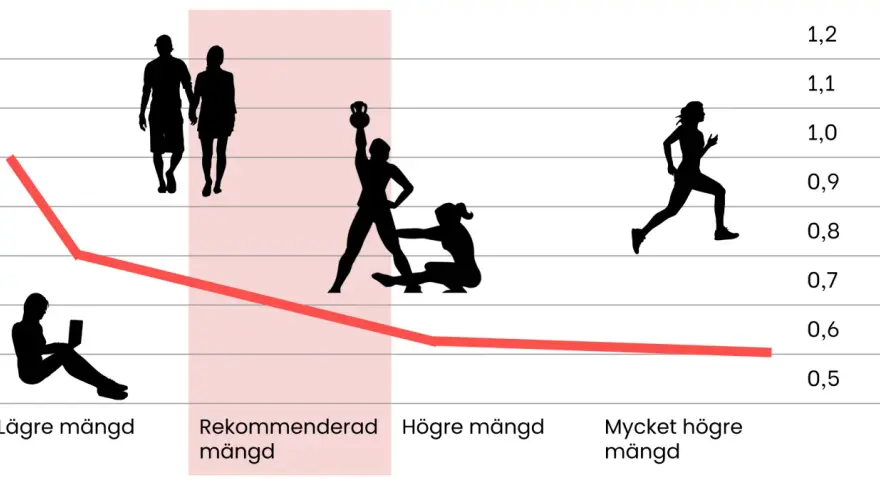Graf visar hur en aktiv livsstil, som helkroppspass 2 gånger i veckan, kan påverka olika mått. Från lägre mängd till mycket högre mängd.