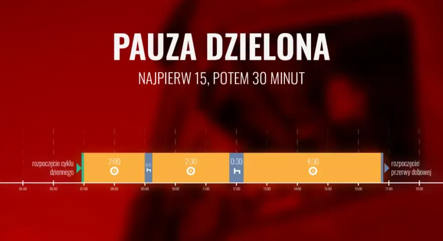 Ile godzin może jechać kierowca autokaru? Poznaj ważne przepisy