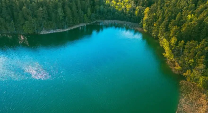 Turkusowe jezioro otoczone lasem, jakby ukryte w okolicach Międzyzdrojów.
