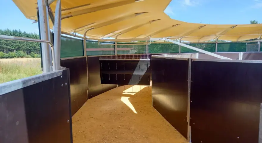 Intérieur d'un marcheur pour chevaux, avec sol sablonneux, parois sombres et toit en toile jaune. Idéal pour comprendre comment fabriquer un marcheur pour chevaux.
