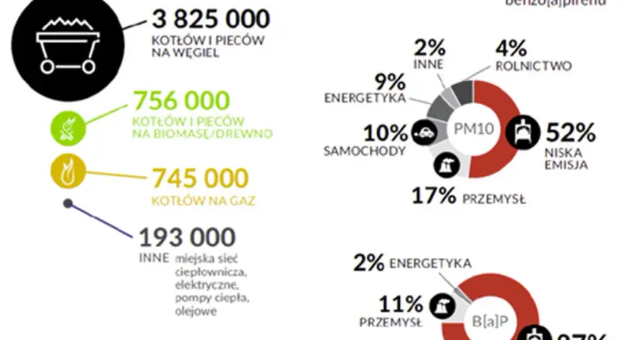 Smog: Z czego się składa? Poznaj toksyny i ich wpływ na zdrowie