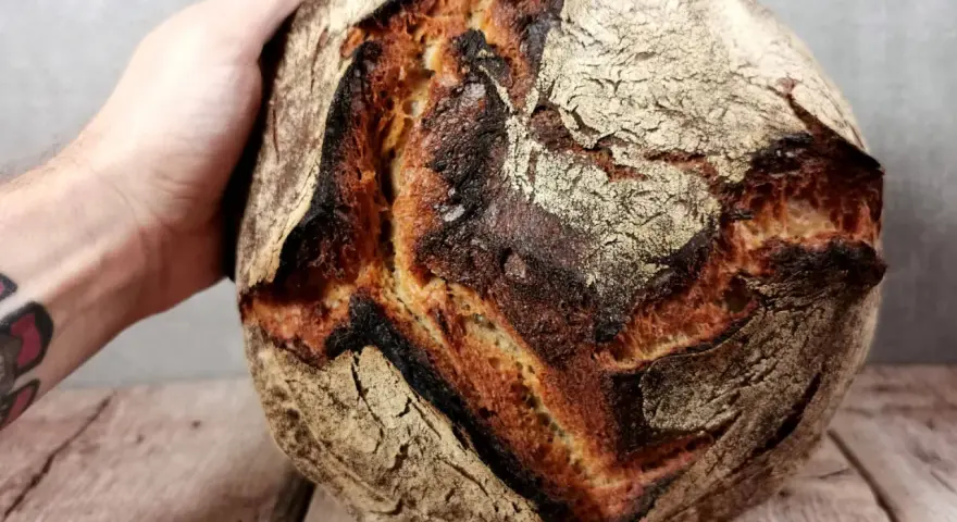 Hand hält ein knuspriges Sauerteigbrot. Die Kruste ist dunkelbraun und rissig. Was ist Brotmehl? Es ist die Grundlage für dieses köstliche Gebäck.
