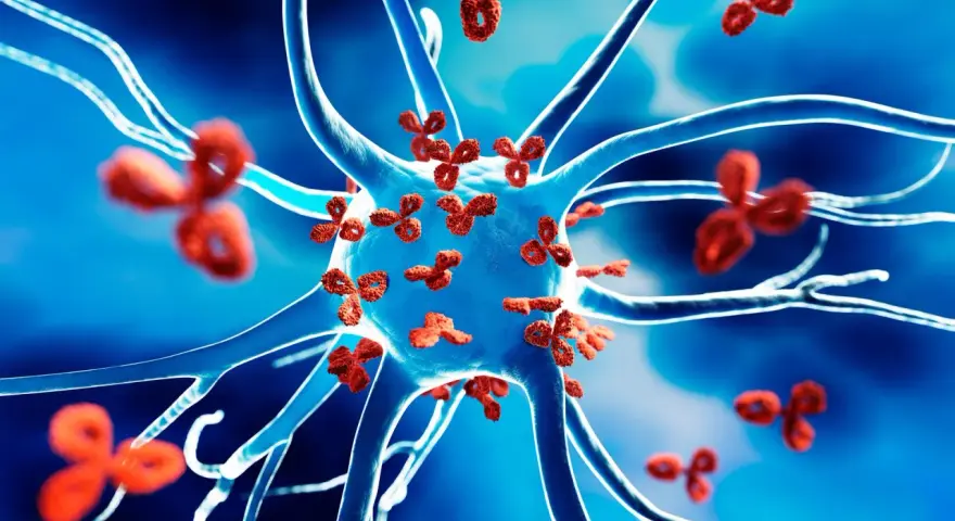 Czerwone przeciwciała atakują neuron, ilustrując mechanizm chorób autoimmunologicznych.