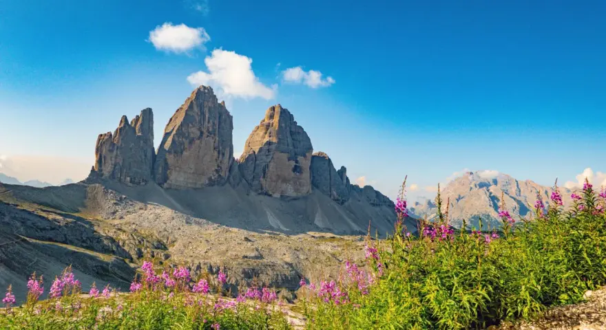 Tre Cime di Lavaredo maestose, fiori viola in primo piano. Un invito a scoprire gli **itinerari Dolomiti** più suggestivi.