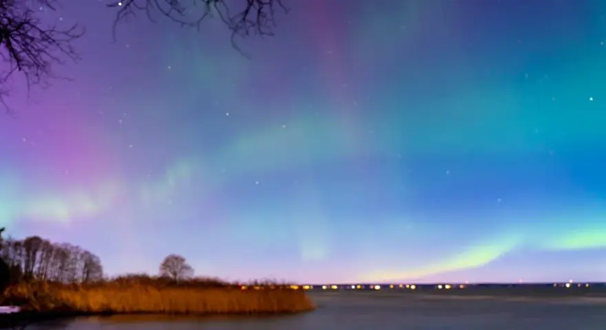 En magisk norrsken resa i Sverige. Aurora Borealis dansar över en sjö med träd och vass i förgrunden.