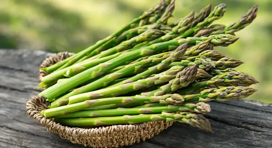Freshly harvested asparagus spears in a woven basket, ready to be planted. Learn how to grow asparagus for a bountiful harvest.