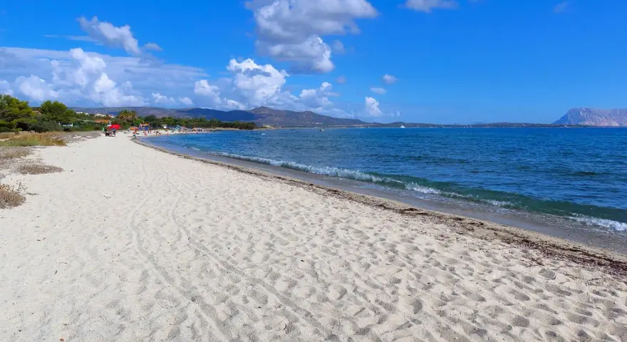 Spiaggia Cala d'Ambra: sabbia dorata, mare azzurro e montagne all'orizzonte. Un angolo di paradiso per rilassarsi.