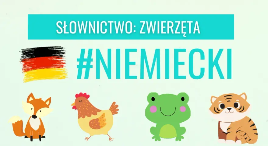 Słownictwo: zwierzęta po niemiecku. Lis, kura, żaba i tygrys uczą się języka. #NIEMIECKI