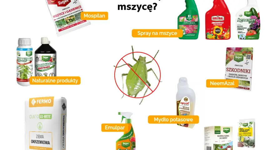 Domowy oprysk na mszyce i inne szkodniki: naturalne produkty, ziemia okrzemkowa, Mospilan, NeemAzal, Emulpar, mydło potasowe, spraye i taśmy lepowe.