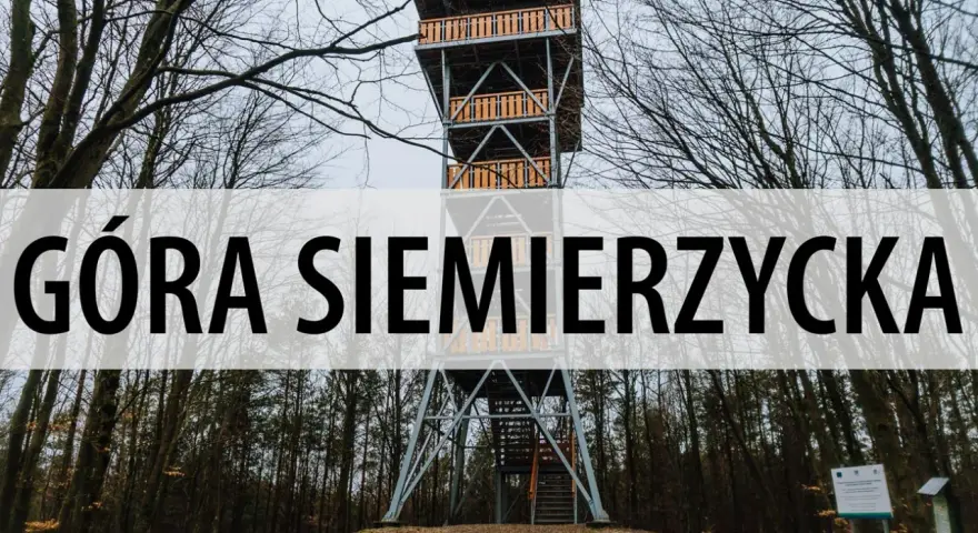 Wieża widokowa na Górze Siemierzyckiej w otoczeniu nagich drzew.