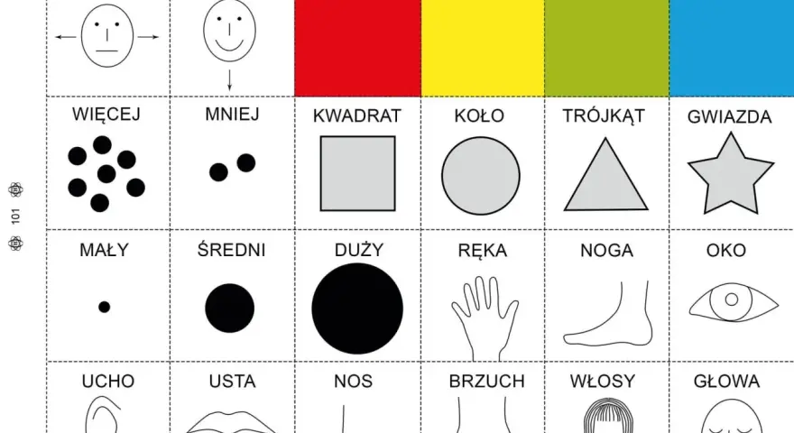 Pomoc w nauce dla 6 latka: kolory, kształty, liczby, części ciała.