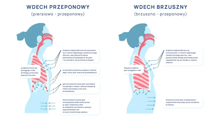 Ilustracja pokazuje dwa typy wdechu: piersiowo-przeponowy i brzuszno-przeponowy. W obu przypadkach kluczowe jest **oddychanie przeponowe**, które angażuje przeponę do głębszego wdechu.