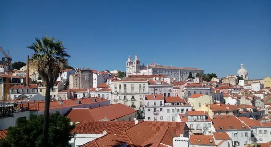 Słoneczna Portugalia, pogoda w lutym zachwyca. Widok na Lizbonę z palmą i kościołami na wzgórzach.