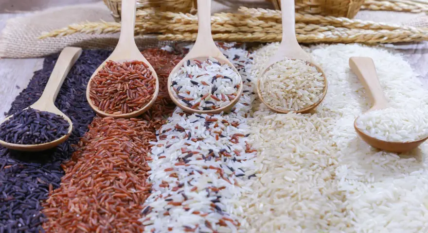 Cucharas de madera con arroz negro, rojo, integral y blanco, perfectos para tus recetas de arroz.