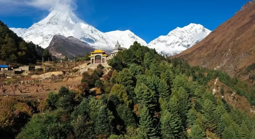 Wzgórza porośnięte sosnami, buddyjska świątynia i ośnieżone szczyty Himalajów podczas Manaslu Circuit Trek.