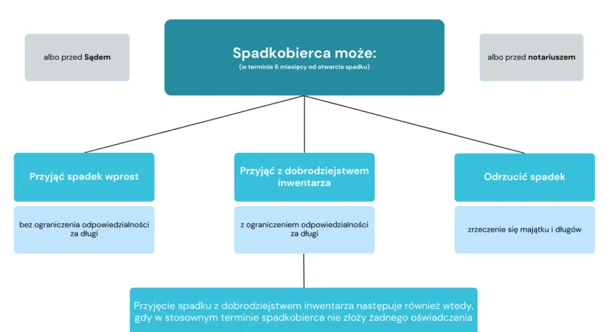 Schemat przedstawia opcje spadkobiercy: przyjąć spadek wprost, z dobrodziejstwem inwentarza lub odrzucić. Dotyczy to dziedziczenia ustawowego.