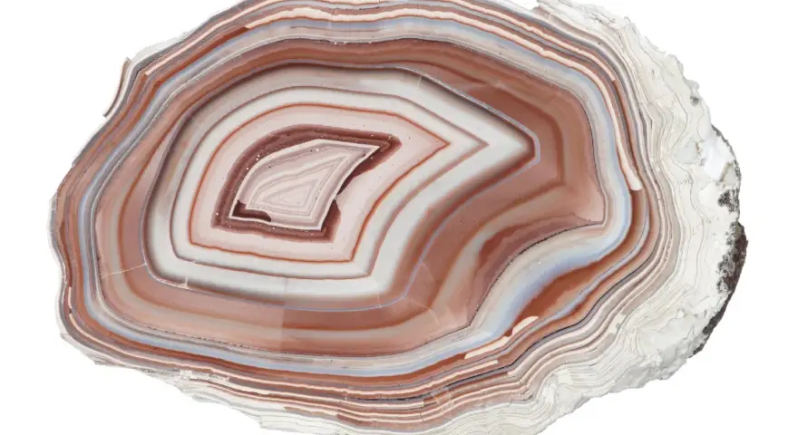 Fetta di agata pietra con bande concentriche di bianco, marrone e blu.