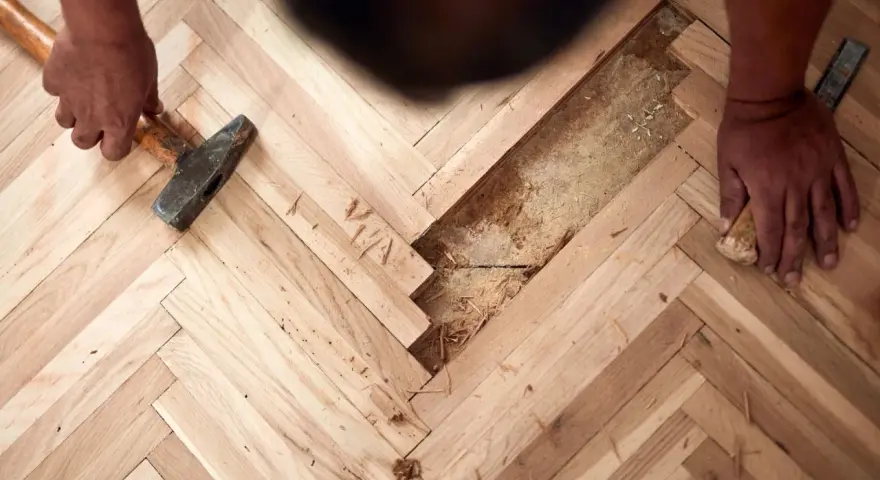 Naprawa podłogi z desek w jodełkę. Ręce trzymają młotek i dłuto, przygotowując się do wymiany uszkodzonych elementów.