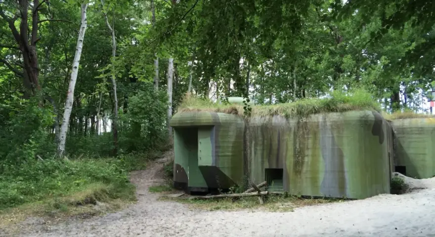 Skansen fortyfikacji Jastarnia: betonowe bunkry w kamuflażu, porośnięte trawą, ukryte wśród drzew i piasku.