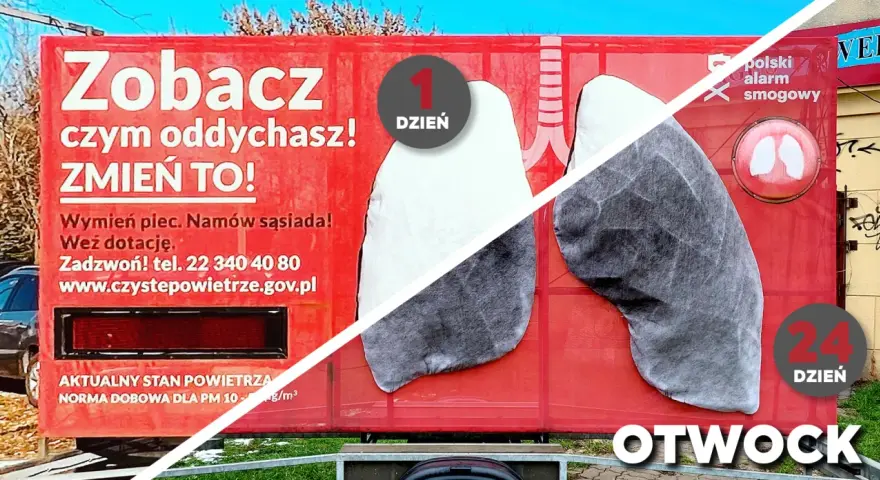 Smog a płuca: Jak zanieczyszczenia niszczą Twój układ oddechowy?