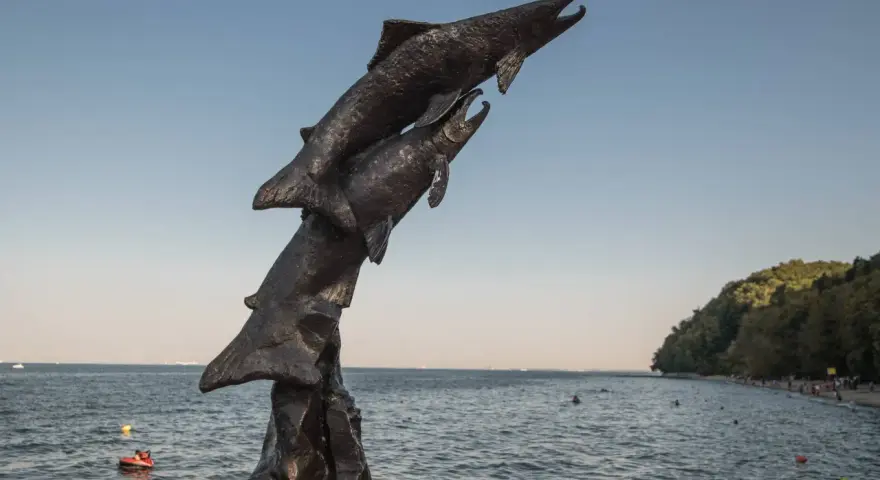 Gdynia co warto zobaczyć? Odkryj najlepsze atrakcje i smaki!