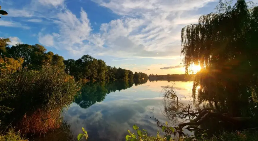 Sonnenuntergang am Rimsinger Baggersee. Die Wolken spiegeln sich im ruhigen Wasser, umrahmt von Bäumen und Schilf.