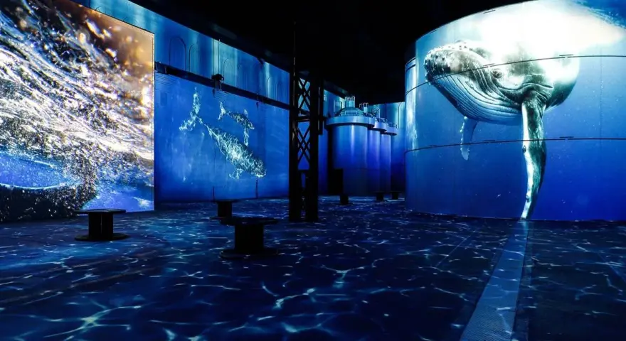 Immersives Erlebnis mit Walen und Wellen, das an **Hamburg abends** erinnert. Blaue Projektionen auf Wänden und Boden erzeugen Unterwasserwelt.
