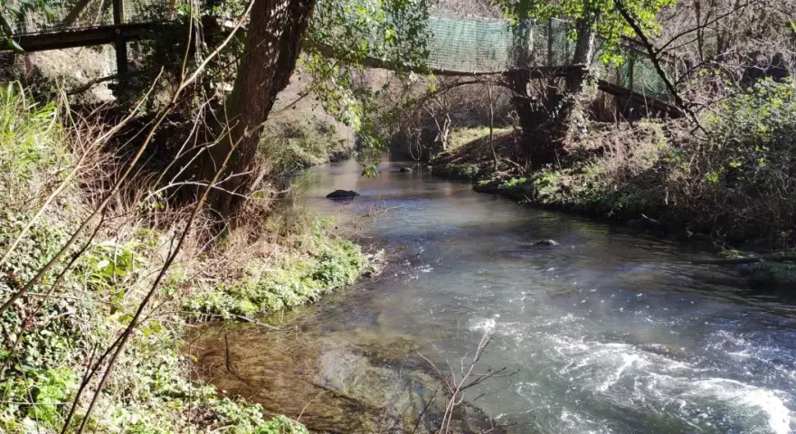 Un suggestivo ponte tibetano nel Lazio attraversa un ruscello tra alberi e vegetazione rigogliosa, creando un'atmosfera incantevole.