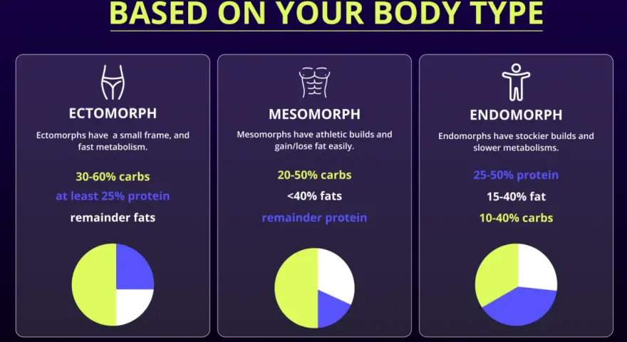 Diagrammet visar hur man delar upp sina **macros svenska** baserat på kroppstyp: ektomorf, mesomorf och endomorf, med rekommenderade fördelningar av kolhydrater, fett och protein.