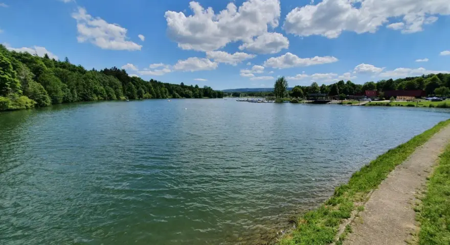 Ein sonniger Tag am Ellwanger See mit bewaldeten Ufern und einem Weg am Wasser.