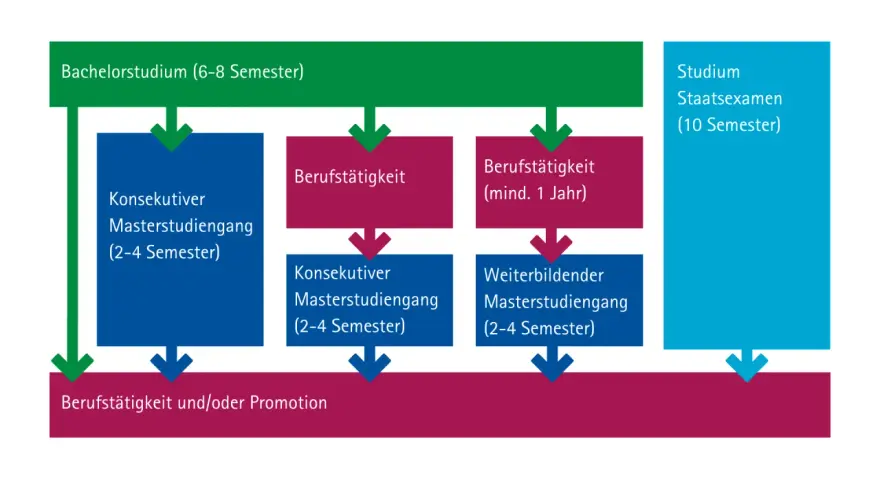 Studienverlauf: Bachelor, Berufstätigkeit, Master oder Staatsexamen (10 Semester), vergleichbar mit Bachelor.