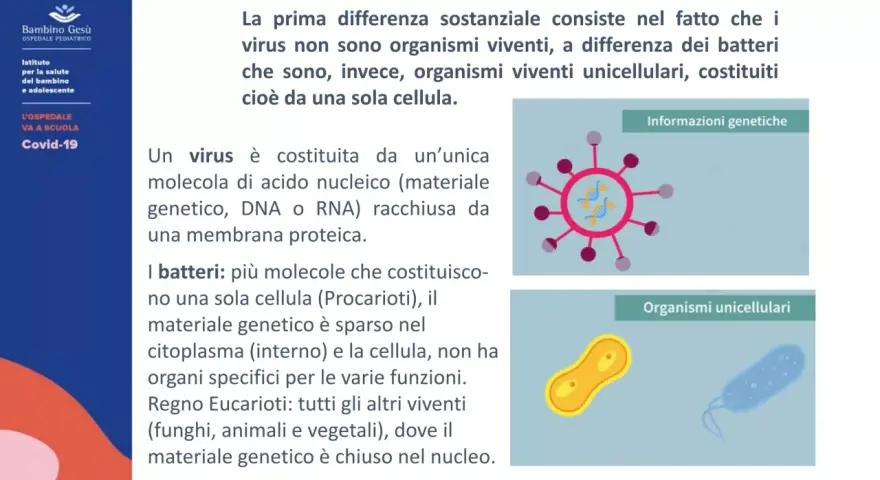 Illustrazione che mostra la differenza tra virus (organismo non vivente con materiale genetico) e batteri (organismi viventi unicellulari).