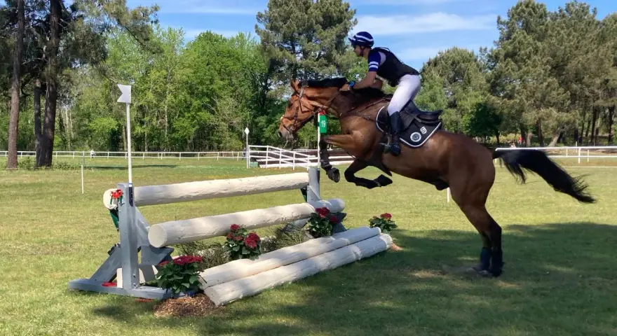 Un cavalier et son cheval brun franchissent un obstacle en bois lors d'une compétition de sports équestres.